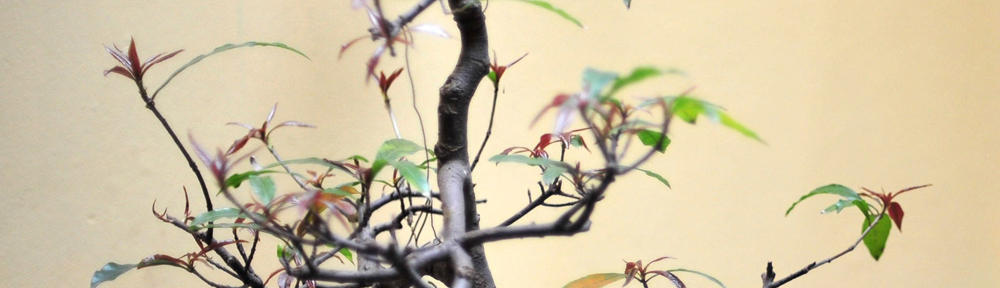 Klein Elbe – Perle des Vorharzes